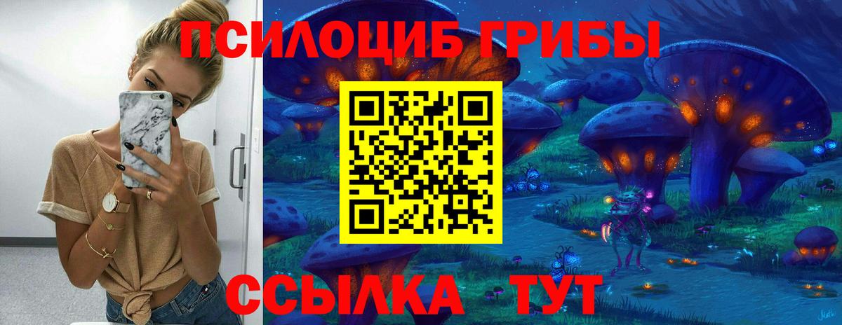 Галлюциногенные грибы прущие грибы Кемерово